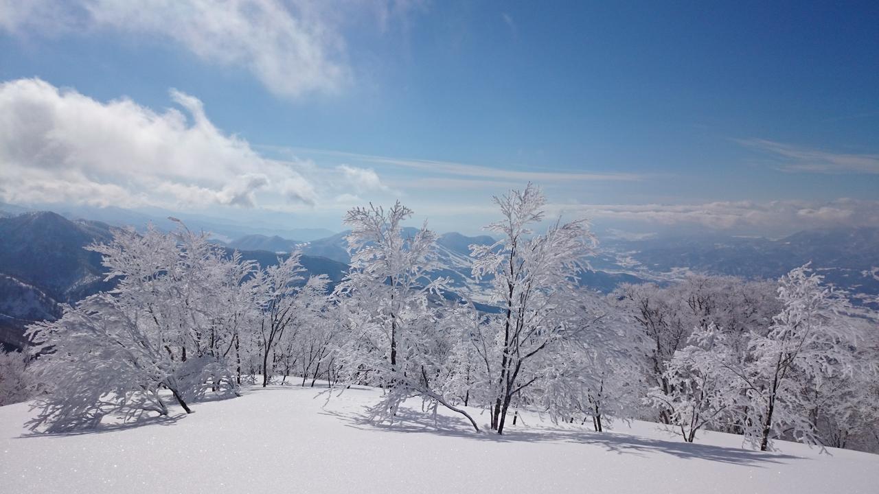 Hotel Nozawa Dream Exterior foto